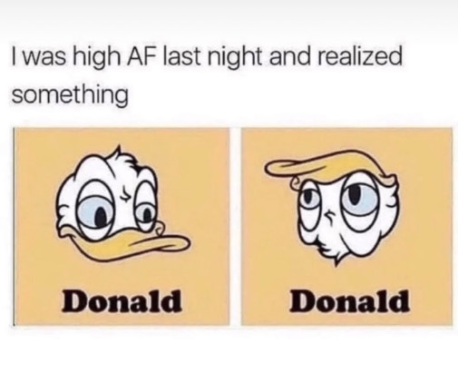 Fun Fact - Donald