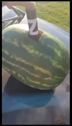 Rusko je mudre (video v zdroji)
